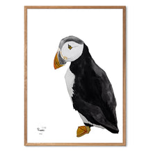 Indlæs billede til gallerivisning Piraten<br>Flere varianter<br>Nummereret kunst-print