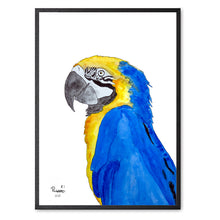 Indlæs billede til gallerivisning Plapre<br>Flere varianter<br>Nummereret kunst-print