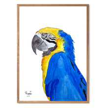 Indlæs billede til gallerivisning Plapre<br>Flere varianter<br>Nummereret kunst-print