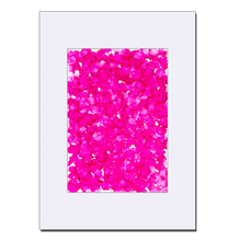 Indlæs billede til gallerivisning Kosmos i Flor - Cherry Drops&lt;br&gt;50x70 cm.&lt;br&gt;Originalt værk
