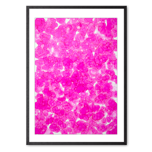 Kosmos i Flor - Blush Bloom<br>70 x 100 cm.<br>Originalt værk
