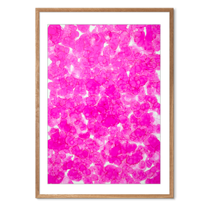 Kosmos i Flor - Blush Bloom<br>70 x 100 cm.<br>Originalt værk