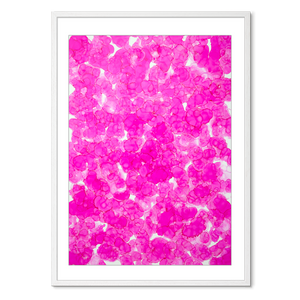 Kosmos i Flor - Blush Bloom<br>70 x 100 cm.<br>Originalt værk