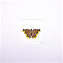 Load image into Gallery viewer, Torchbearer<br>Golden Queen<br>50 x 50 cm.
