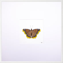 Load image into Gallery viewer, Torchbearer<br>Golden Queen<br>50 x 50 cm.
