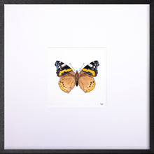 Load image into Gallery viewer, Torchbearer<br>Captain of the Sky<br>50 x 50 cm.

