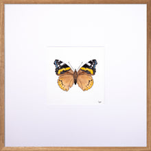 Load image into Gallery viewer, Torchbearer<br>Captain of the Sky<br>50 x 50 cm.

