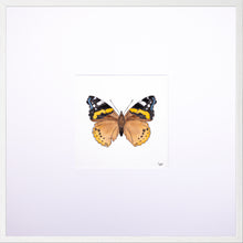 Load image into Gallery viewer, Torchbearer<br>Captain of the Sky<br>50 x 50 cm.
