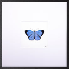 Load image into Gallery viewer, Torchbearer<br>Forest Meadow<br>50 x 50 cm.
