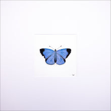 Load image into Gallery viewer, Torchbearer<br>Forest Meadow<br>50 x 50 cm.
