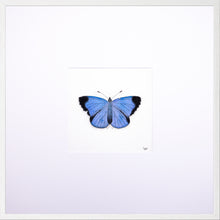 Load image into Gallery viewer, Torchbearer<br>Forest Meadow<br>50 x 50 cm.
