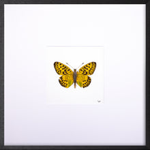 Load image into Gallery viewer, Torchbearer<br>Forest Pearl<br>50 x 50 cm.
