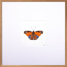 Load image into Gallery viewer, Torchbearer<br>Guardian of The Sun<br>50 x 50 cm.
