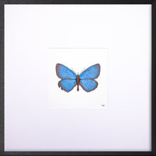 Load image into Gallery viewer, Torchbearer<br>Meadow Sapphire<br>50 x 50 cm.
