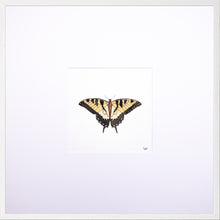 Load image into Gallery viewer, Torchbearer<br>Four-Leaf Clover<br>50 x 50 cm.
