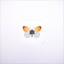 Load image into Gallery viewer, Torchbearer<br>Flame of Spring<br>50 x 50 cm.
