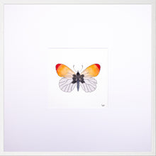 Load image into Gallery viewer, Torchbearer<br>Flame of Spring<br>50 x 50 cm.
