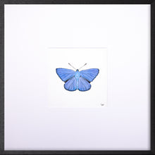 Load image into Gallery viewer, Torchbearer<br>Blue Skies<br>50 x 50 cm.
