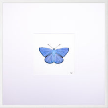 Load image into Gallery viewer, Torchbearer<br>Blue Skies<br>50 x 50 cm.
