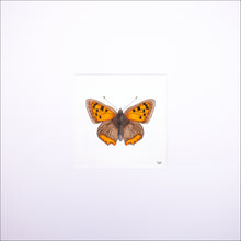 Load image into Gallery viewer, Torchbearer<br>Firedrop<br>50 x 50 cm.
