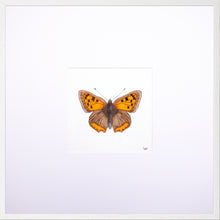 Load image into Gallery viewer, Torchbearer<br>Firedrop<br>50 x 50 cm.
