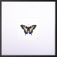 Load image into Gallery viewer, Torchbearer<br>Swallowtail<br>50 x 50 cm.
