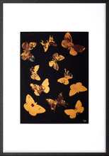 Load image into Gallery viewer, Screenprint<br>Torchbearer<br>Dreamcatcher<br>70 x 100 cm. in gold frame<br>Gold Edition
