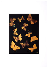 Load image into Gallery viewer, Screenprint<br>Torchbearer<br>Dreamcatcher<br>70 x 100 cm. in gold frame<br>Gold Edition
