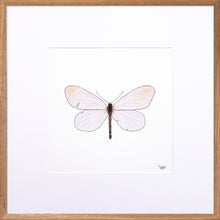 Load image into Gallery viewer, Torchbearer<br>Ray of Light<br>30 x 30 cm.
