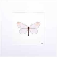 Load image into Gallery viewer, Torchbearer<br>Ray of Light<br>30 x 30 cm.

