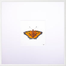 Load image into Gallery viewer, Torchbearer<br>Forest Meadow<br>50 x 50 cm.
