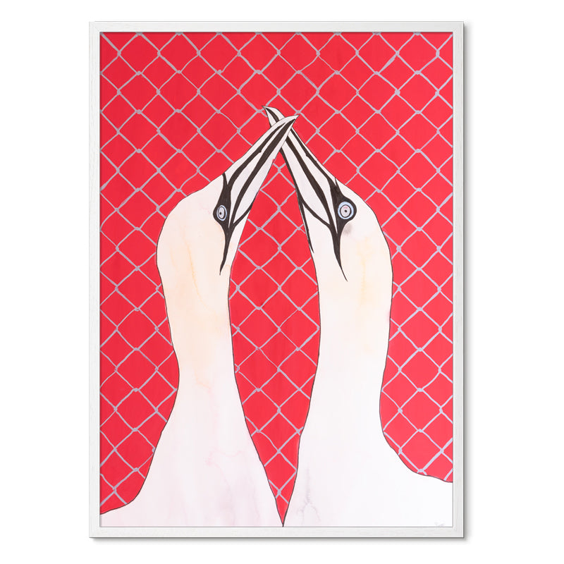 Red Gannets<br>50x70 cm.<br>Akvarel<br>Originalt værk