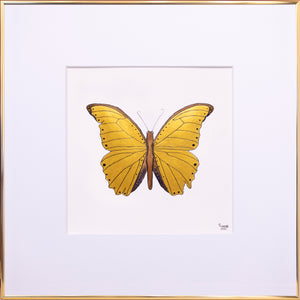Forår i mit hjerte - Guldfugl<br>50 x 50 cm. i guldramme<br>Gold Edition