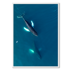 Singers of The Sea - East<br>50x70 cm.