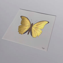 Indlæs og afspil video i gallerivisning Forår i mit hjerte - Guldfugl&lt;br&gt;50 x 50 cm. i guldramme&lt;br&gt;Gold Edition
