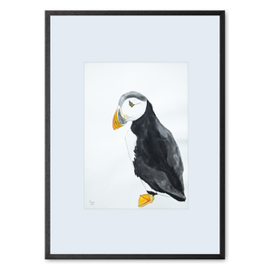 Piraten<br>50 x 70 cm.<br>Originalt værk