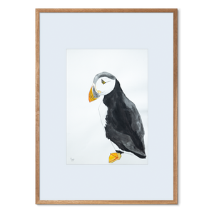 Piraten<br>50 x 70 cm.<br>Originalt værk