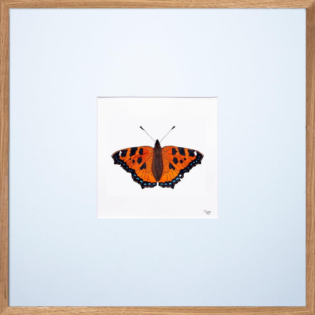 Forår i mit hjerte - Sommerflamme<br>50 x 50 cm.