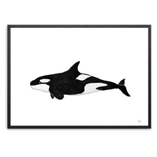 Indlæs billede til gallerivisning Spækhugger&lt;br&gt;Akvarel&lt;br&gt;30 x 40 cm.&lt;br&gt;Originalt værk
