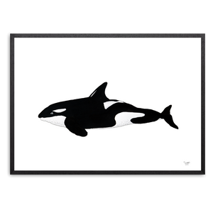 Spækhugger<br>Tusch<br>30 x 40 cm.<br>Originalt værk