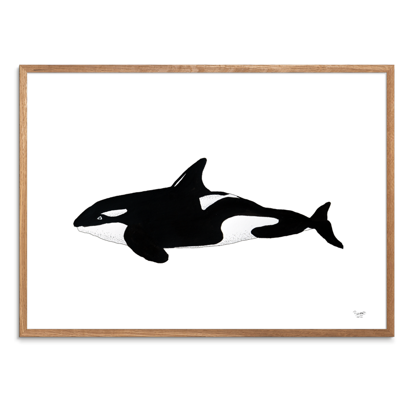 Spækhugger<br>Tusch<br>30 x 40 cm.<br>Originalt værk