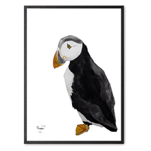 Indlæs billede til gallerivisning Piraten&lt;br&gt;Flere varianter&lt;br&gt;Nummereret kunst-print

