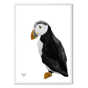 Piraten<br>Flere varianter<br>Nummereret kunst-print
